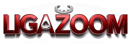 ligazoom login